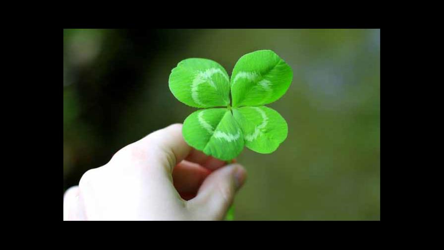 No te cases ni te embarques, ni de tu casa te apartes