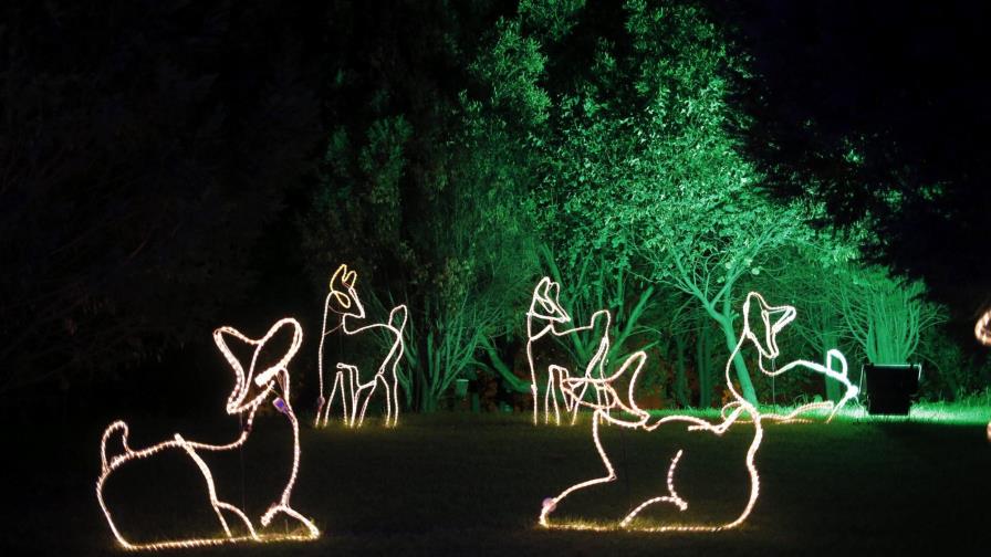 Guía de regalos del economista