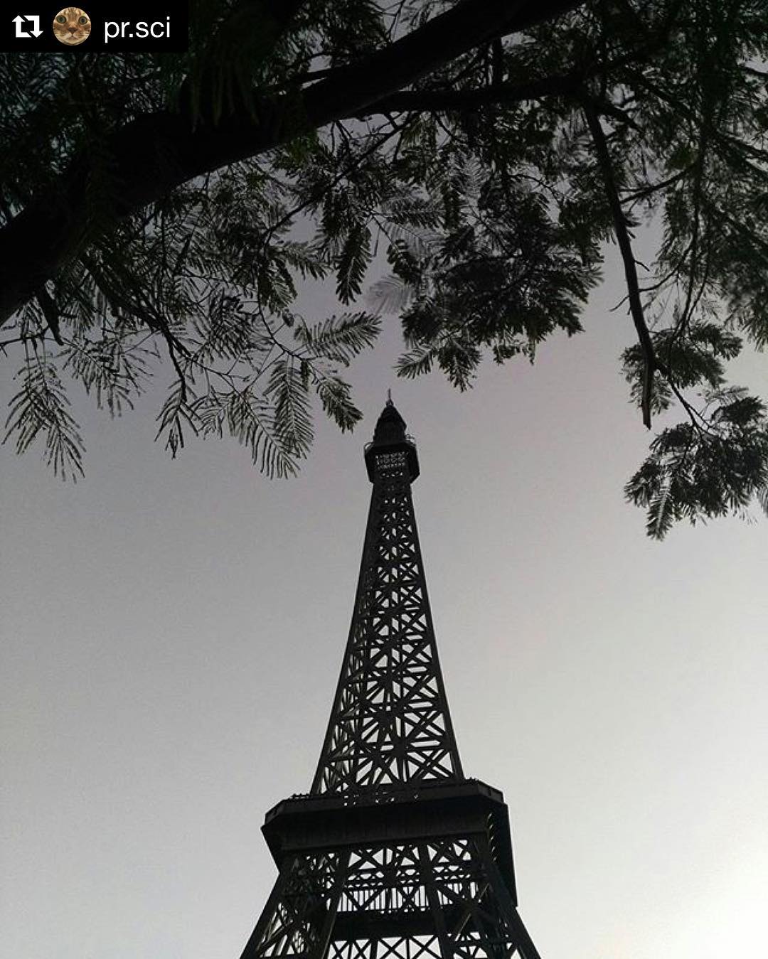 Foto de la torre Eiffel
