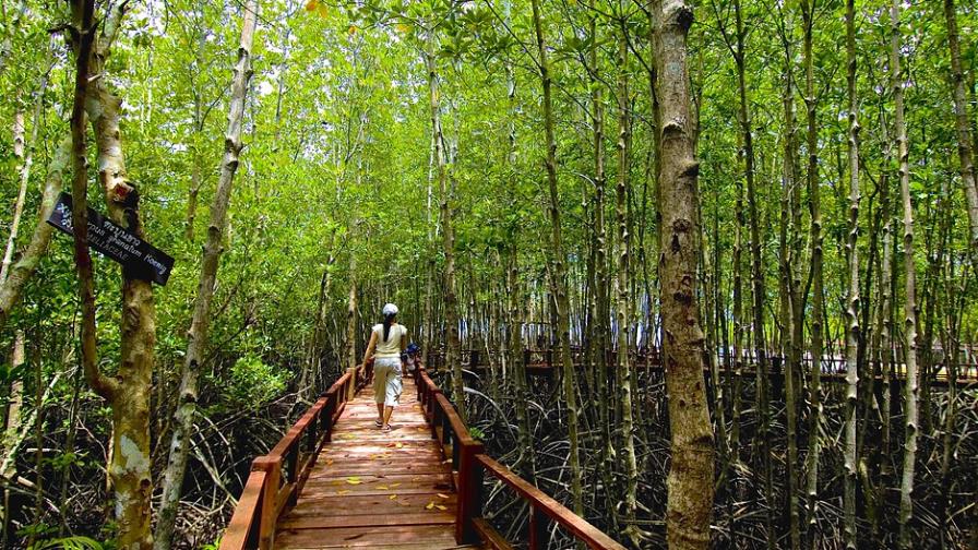 Ecoturismo cambia la forma de vida en comunidades indígenas mayas de México