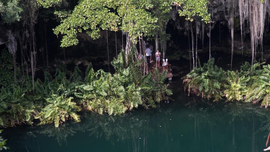 Destino: Un bosque sumergido 