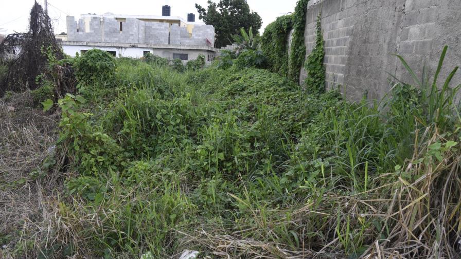 Conviviendo con ratas, basura y maleza