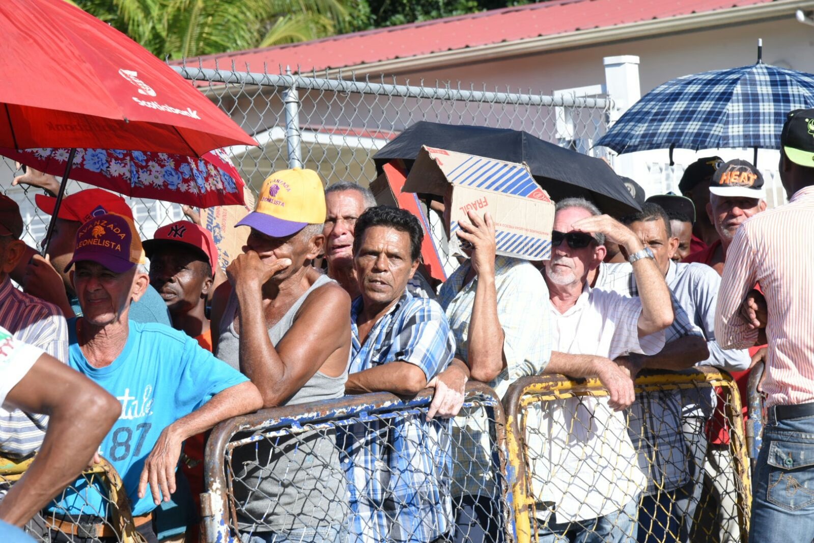 Cientos de personas hacen filas para recibir una de las canastas navideñas que repartieron este domingo Leonel Fernández y el PLD en algunas de las provincias más afectadas por las inundaciones en el Cibao.