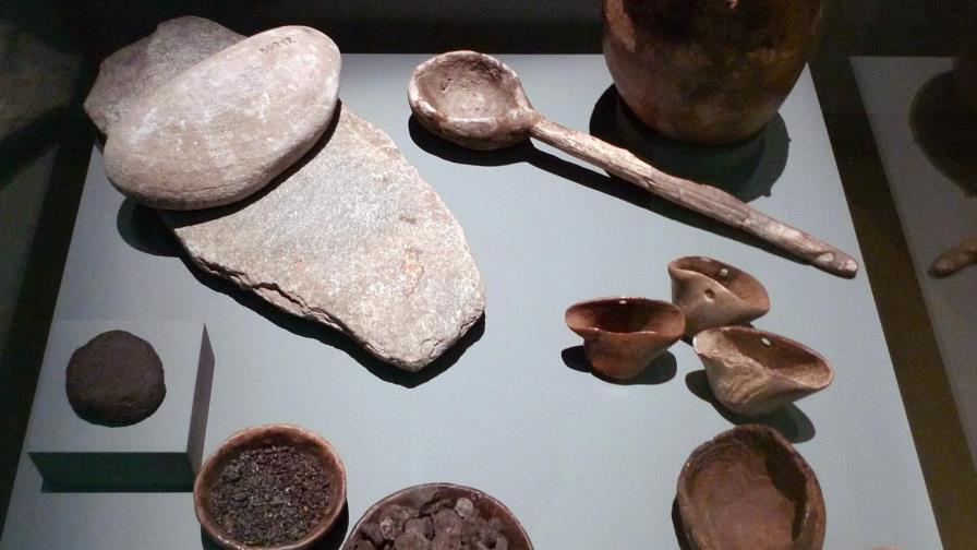 En el Neolítico ya se cocinaban plantas en vasijas de barro