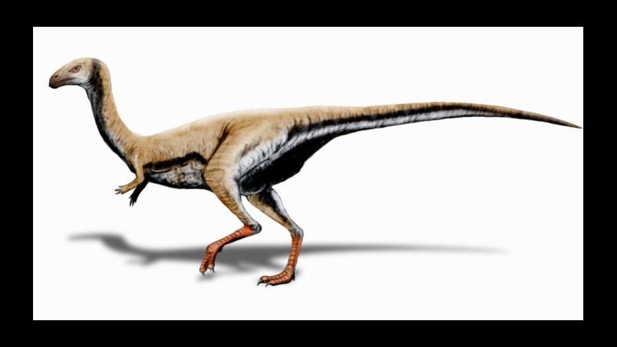 El Limusaurus, un dinosaurio que perdía los dientes al hacerse adulto