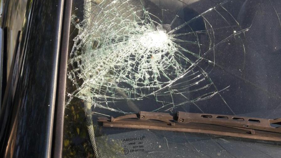 Medio Ambiente denuncia nueva agresión contra su personal en San Cristóbal