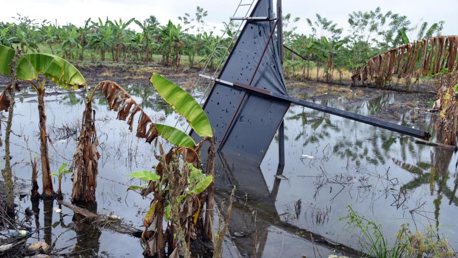 Productores tendrán que buscar más de RD$4 mil por tarea para sembrar