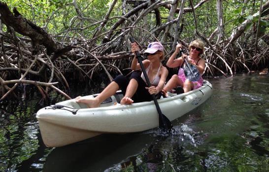 Los manglares de Sabana de   la Mar: ecología y turismo