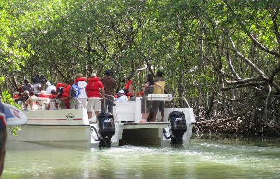 Los manglares de Sabana de   la Mar: ecología y turismo