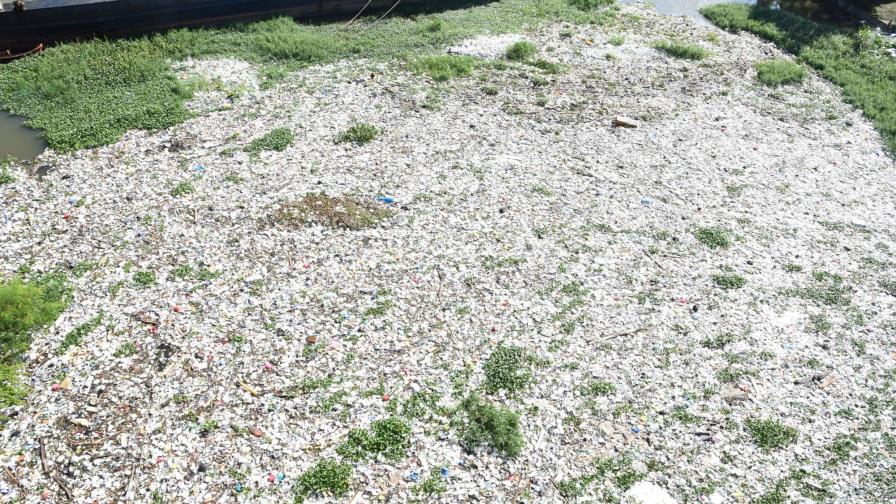 La basura se amontona en el río Isabela, debajo del puente Francisco J. Peynado