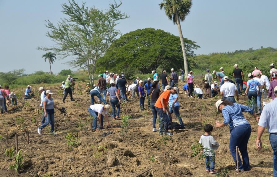 Poder Ejecutivo declara 2017 “Año del Desarrollo Agroforestal”