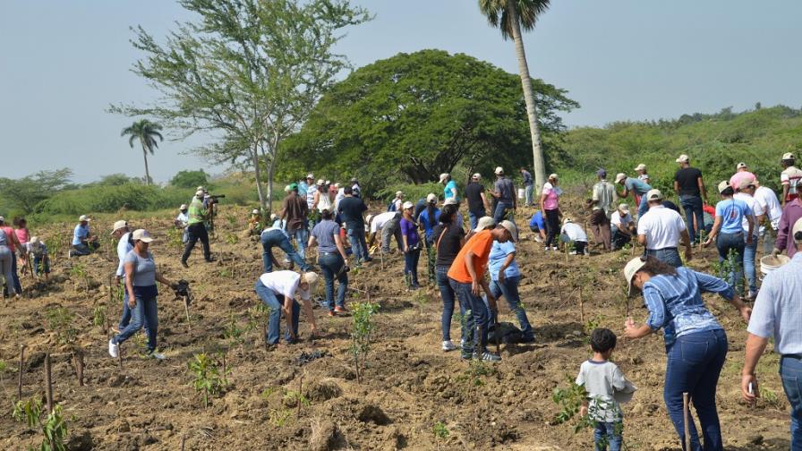 Poder Ejecutivo declara 2017 “Año del Desarrollo Agroforestal”