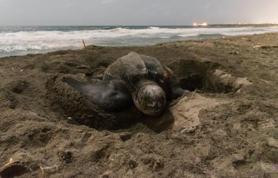 Las mejores imágenes del año
