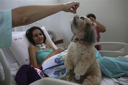 Perros ofrecen terapia en hospital brasileño