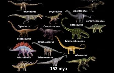 tiranosaurio rex evolucion antes y despues