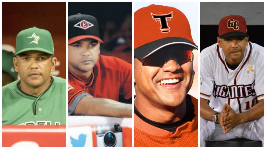 OFICIAL: Audo Vicente es el nuevo manager de los Tigres del Licey