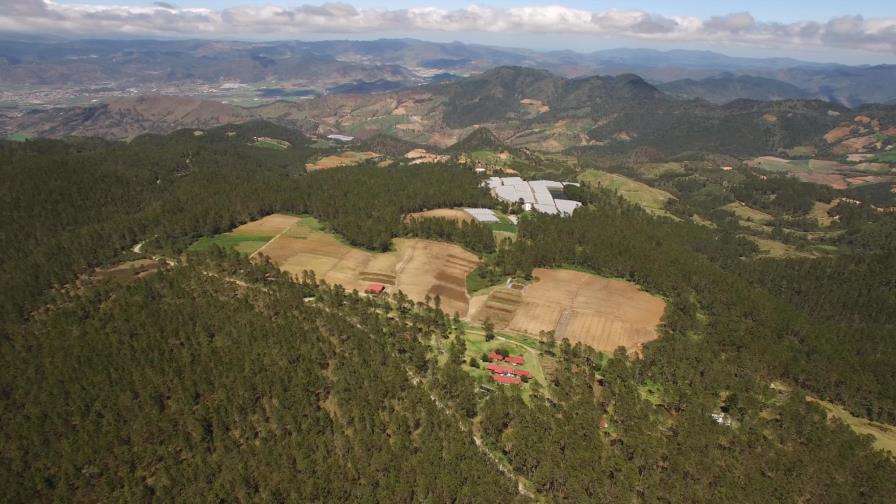 Sociedad Ecológica del Cibao apoya desalojo en Valle Nuevo Sociedad Ecológica del Cibao apoya desalojo en Valle Nuevo