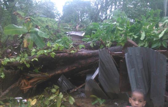 Caída de árbol destruye dos viviendas y causa heridas a hermanos en Puerto Plata