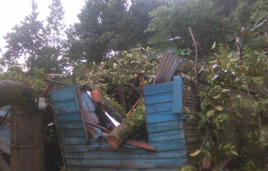 Caída de árbol destruye dos viviendas y causa heridas a hermanos en Puerto Plata