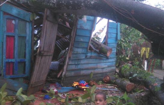 Caída de árbol destruye dos viviendas y causa heridas a hermanos en Puerto Plata