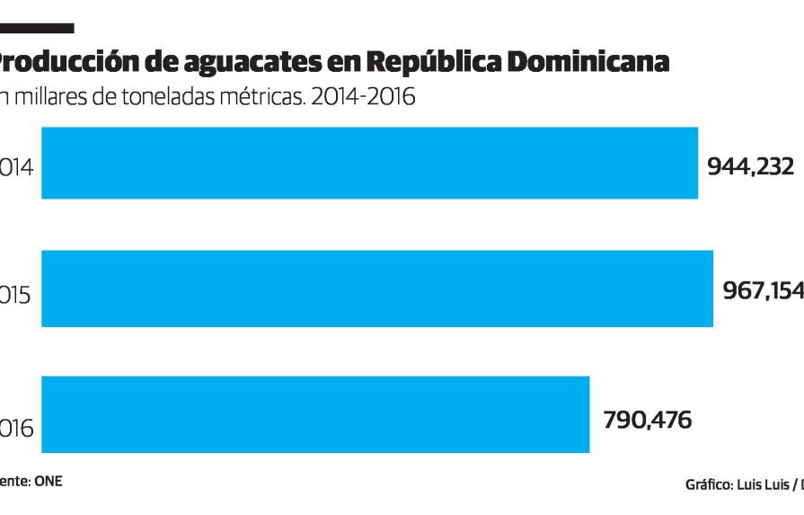 Poca articulación y deficiencias limitan el mercado dominicano de aguacates