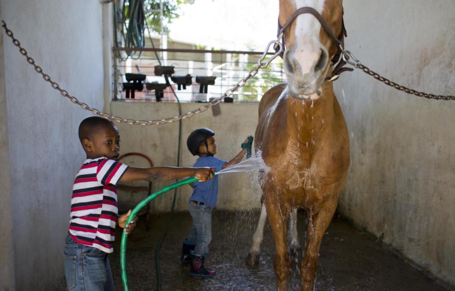 En Haití, usan caballos para terapia de niños con discapacidad