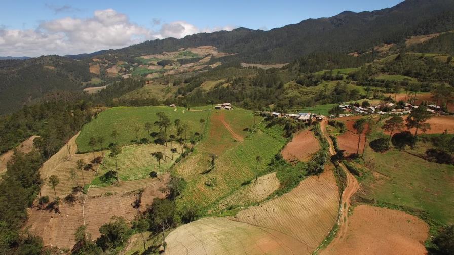 Tribunal aplaza conocimiento de solicitud que busca impedir desalojo en Valle Nuevo Tribunal aplaza conocimiento de solicitud que busca impedir desalojo en Valle Nuevo