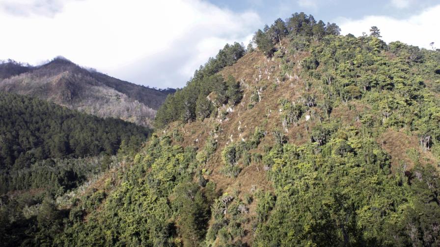 Indemnización en Valle Nuevo, un debate sobre el interés público e individual Indemnización en Valle Nuevo, un debate sobre el interés público e individual