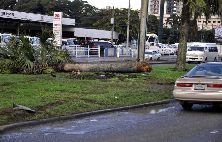 Un muerto y dos heridos al chocar vehículo contra un árbol en Santiago