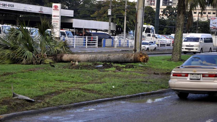 Un muerto y dos heridos al chocar vehículo contra un árbol en Santiago Un muerto y dos heridos al chocar vehículo contra un árbol en Santiago