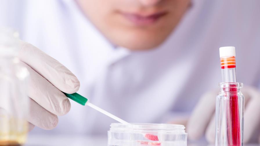 Un componente revierte  el cáncer pancreático