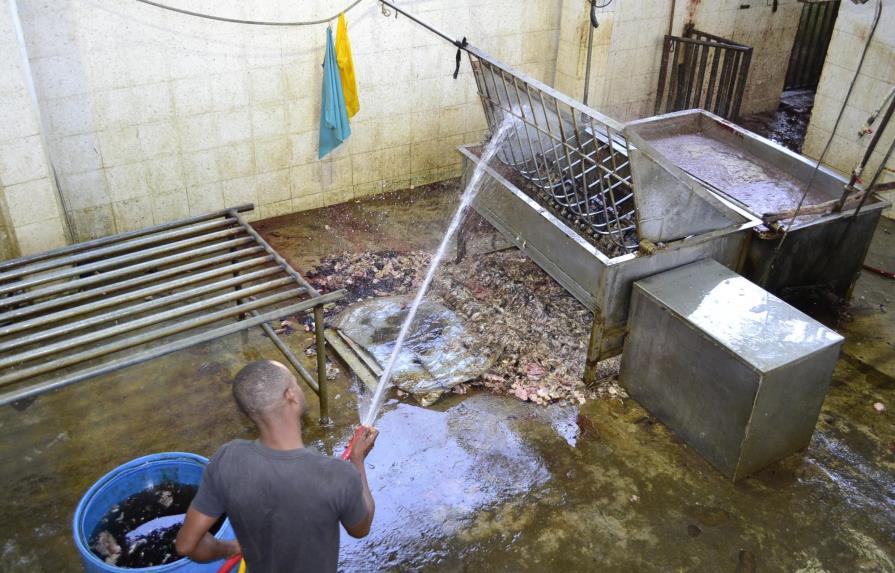 Cierran tres mataderos por funcionar sin permisos y con poca higiene 
