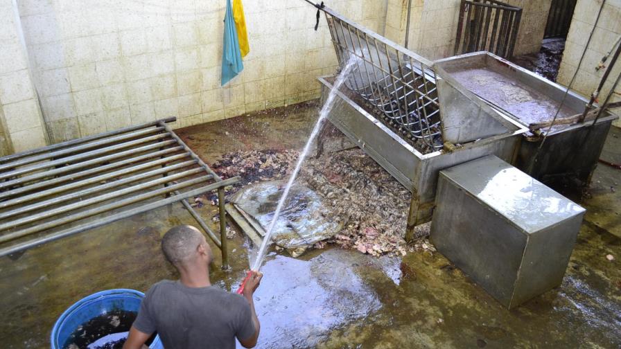 Cierran tres mataderos por funcionar sin permisos y con poca higiene 