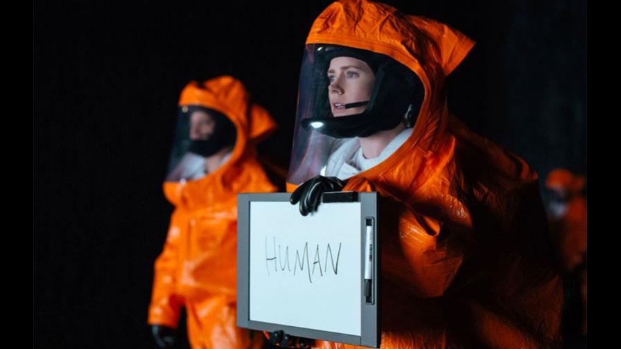 Amy Adams y Martin Scorsese, entre los “olvidados” de nominaciones al Óscar