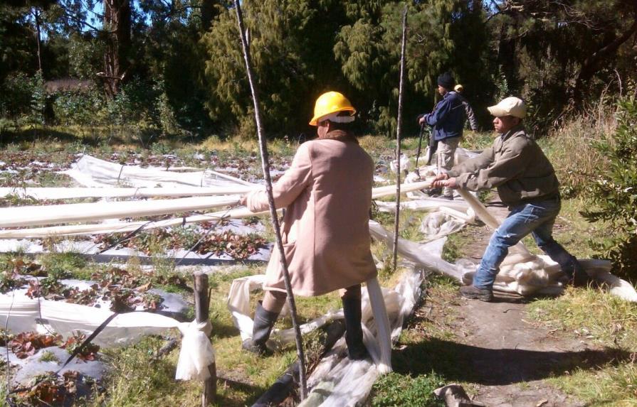 Medio Ambiente inició el retiro de las instalaciones agrícolas en Valle Nuevo