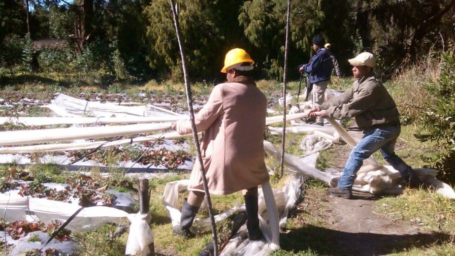 Medio Ambiente inició el retiro de las instalaciones agrícolas en Valle Nuevo
