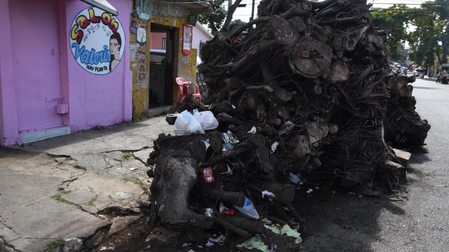 Un tronco que obstaculiza el tránsito en el Espaillat Un tronco que obstaculiza el tránsito en el Espaillat