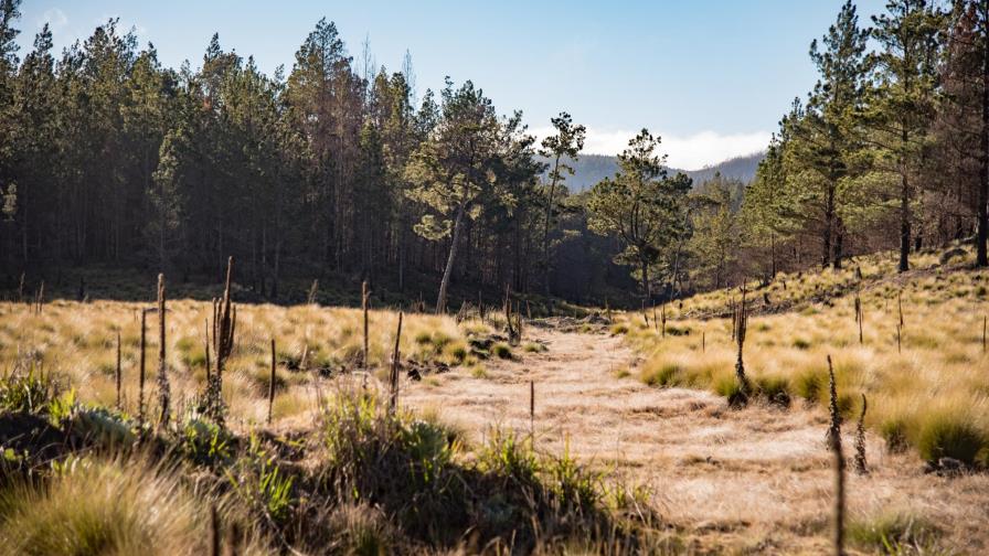 Para los más ecológicos: 10 preguntas sobre las áreas protegidas dominicanas Para los más ecológicos: 10 preguntas sobre las áreas protegidas dominicanas