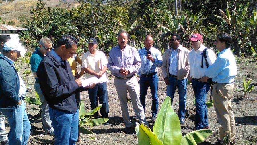 Gobierno y misión del BID evalúan posibilidad de financiar proyectos agro-forestales 