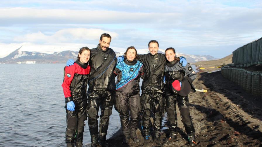 Científicos estudian organismos marinos para uso farmacológico en Antártida