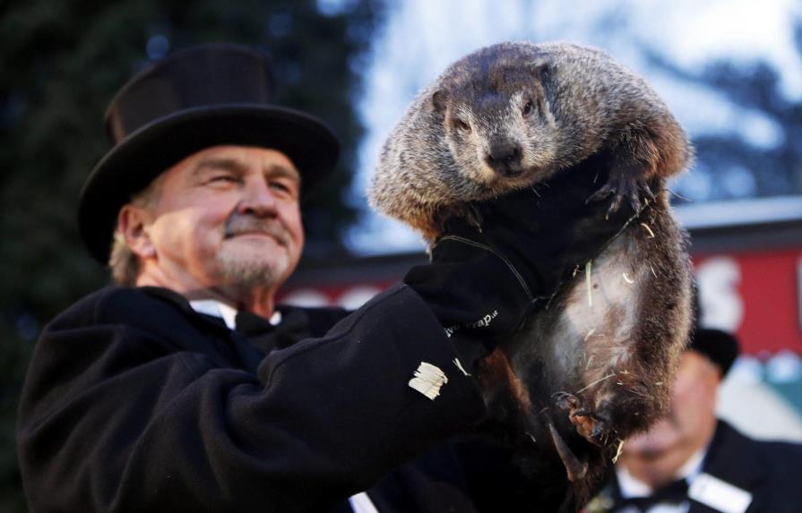 La marmota meteoróloga predice un invierno largo en Estados Unidos