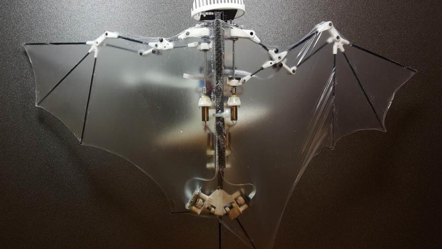 Diseñan en EE.UU. un robot volador que imita los movimientos de murciélagos Diseñan en EE.UU. un robot volador que imita los movimientos de murciélagos