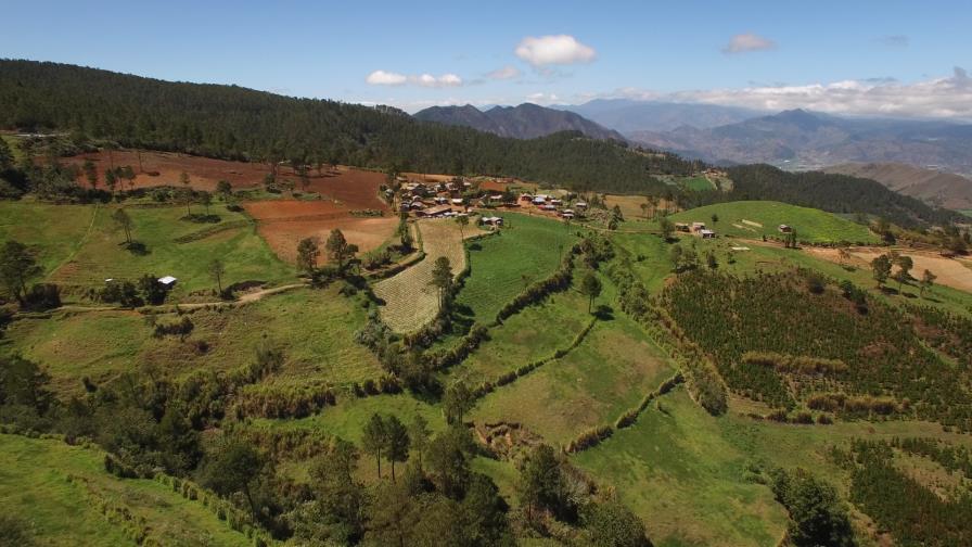 El Grupo Jaragua respalda medida que busca preservar los ecosistemas