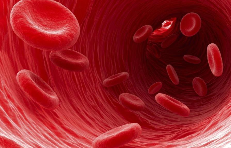 Las células sanguíneas aprenden a aclimatarse a la altitud, según un estudio