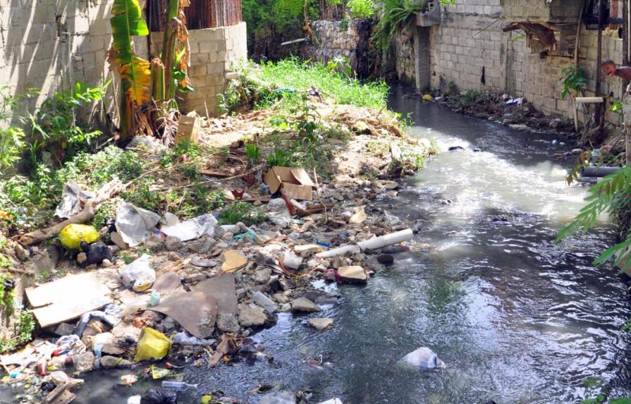 Instituciones buscan sanear y embellecer el arroyo Gurabo