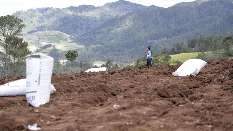 Campesinos del Parque Nacional Valle Nuevo anuncian marcha del “luto”