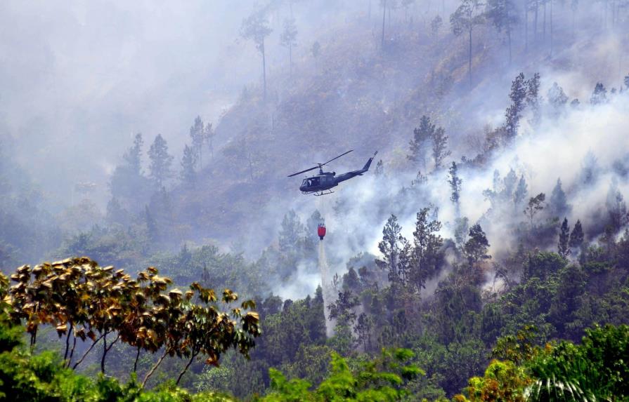Medio Ambiente y Defensa buscan prevenir fuegos forestales
