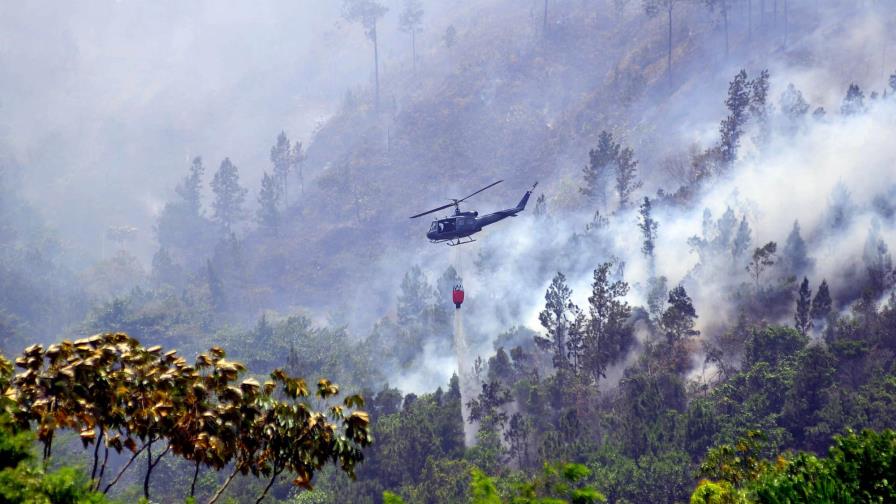 Medio Ambiente y Defensa buscan prevenir fuegos forestales
