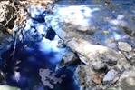 VIDEO: Por la contaminación, la laguna Mallén está de color azul VIDEO: Por la contaminación, la laguna Mallén está de color azul