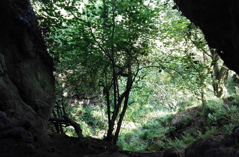 Fósiles constatan que neandertales y sapiens cazaban igual en norte de España